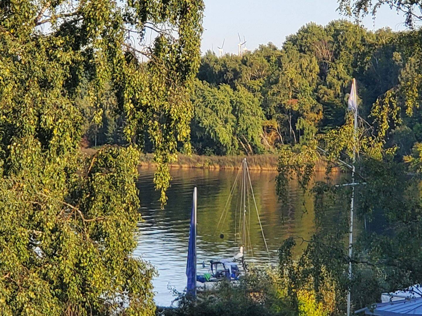 image-69086079