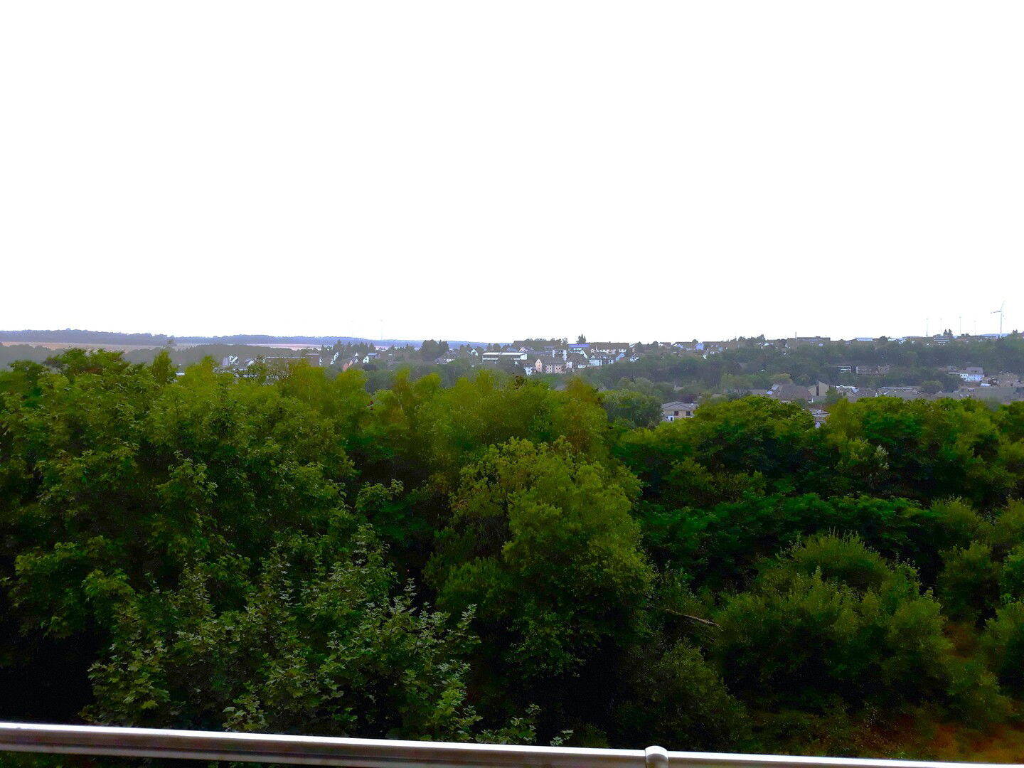image-69090073