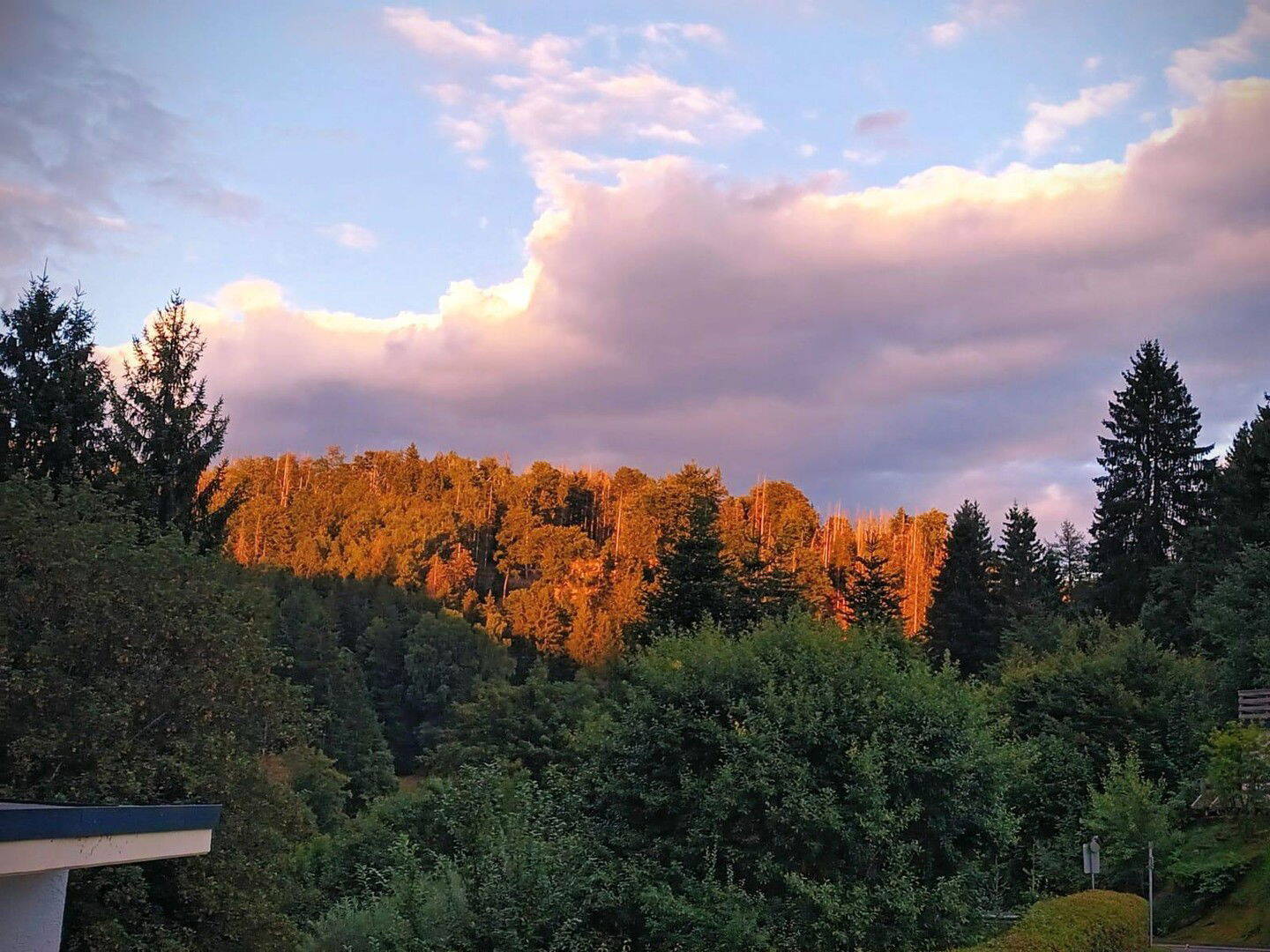 image-69090650