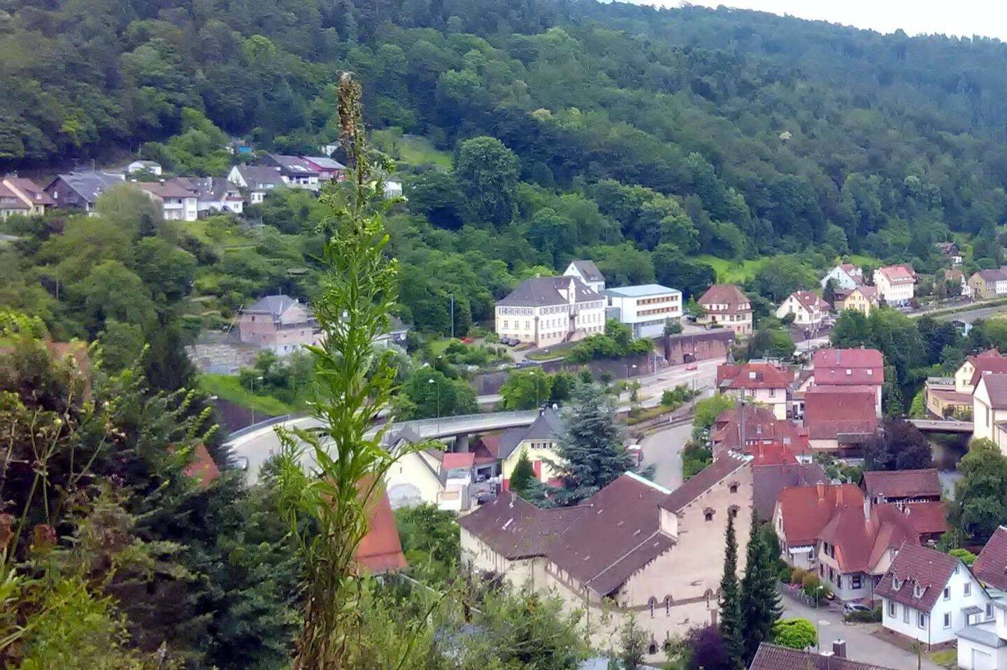 Bild 1