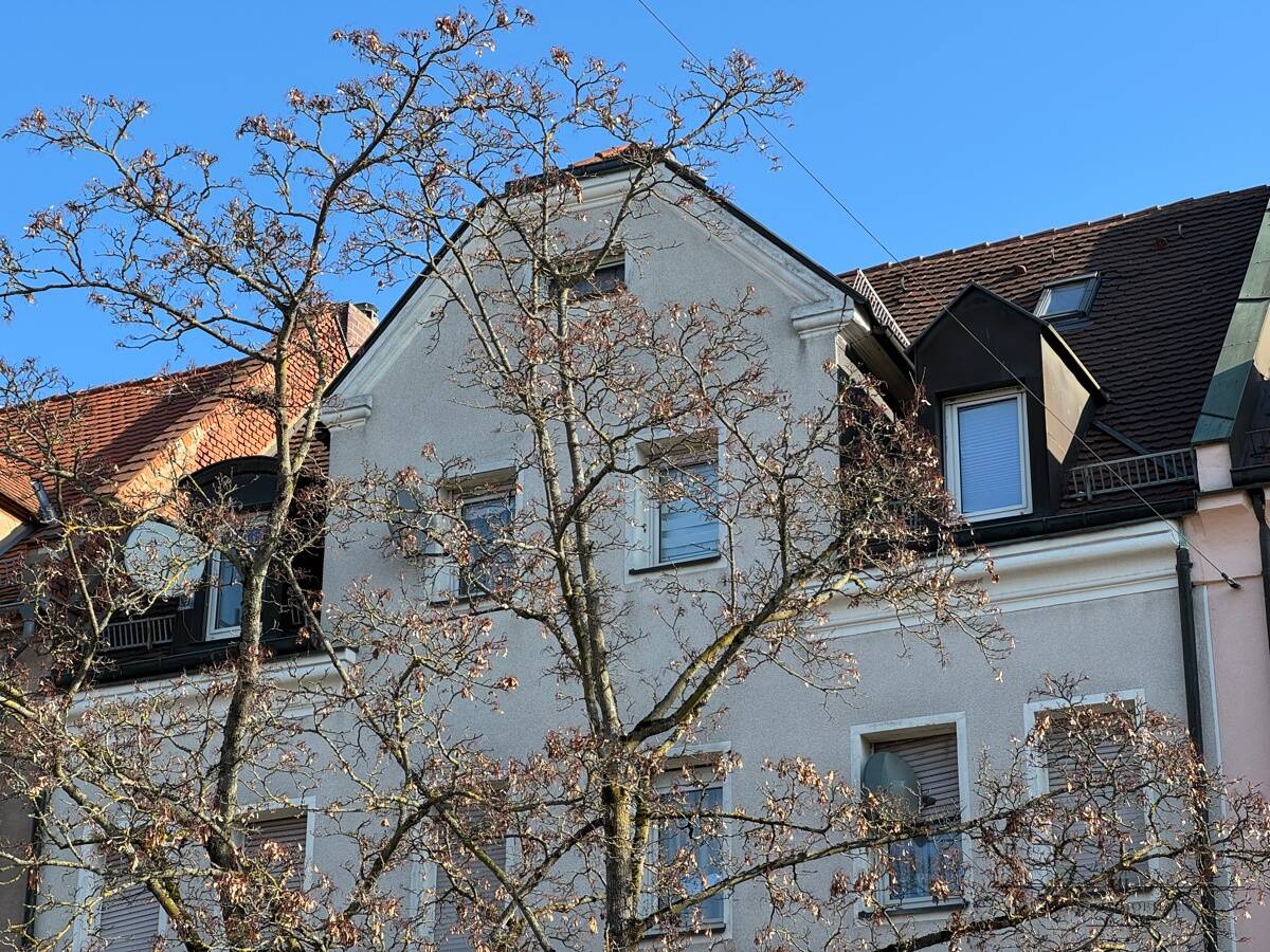 image-69146349