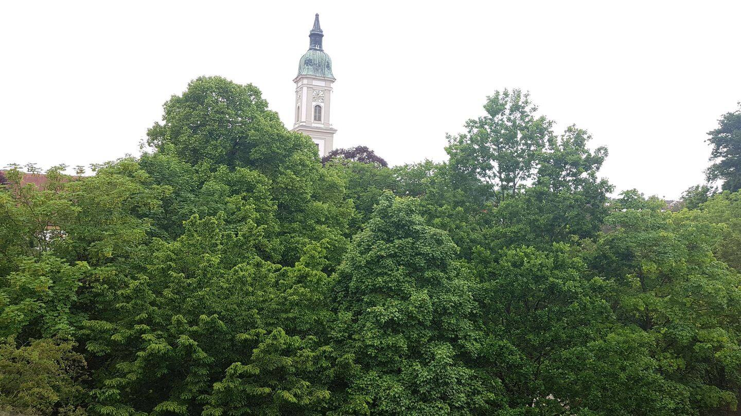 image-69166172