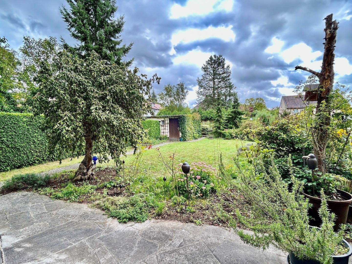 image-69177762
