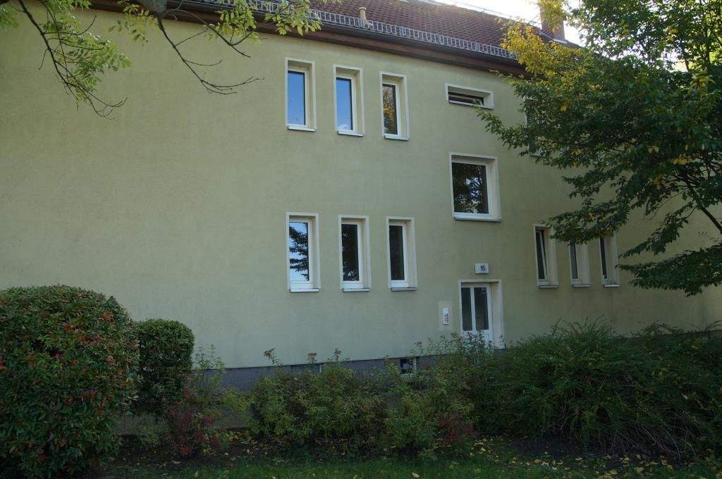image-69178168