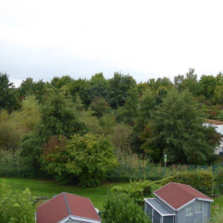 image-69198882