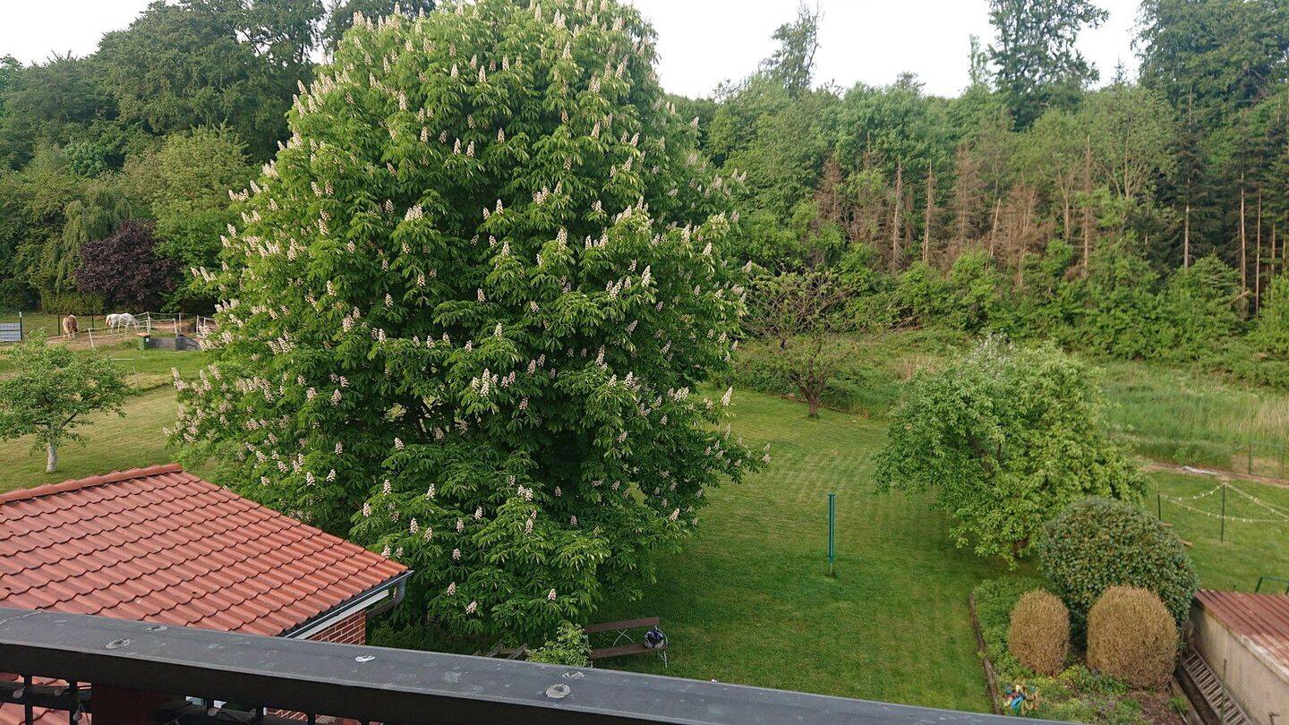 image-69255516