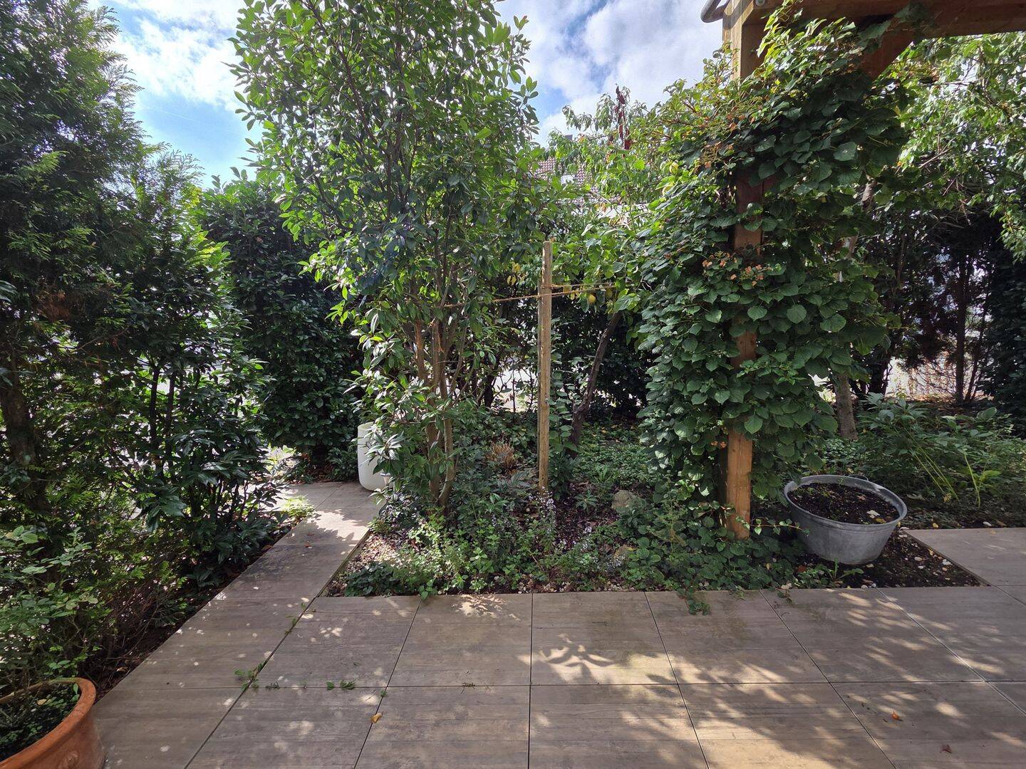 image-69267426