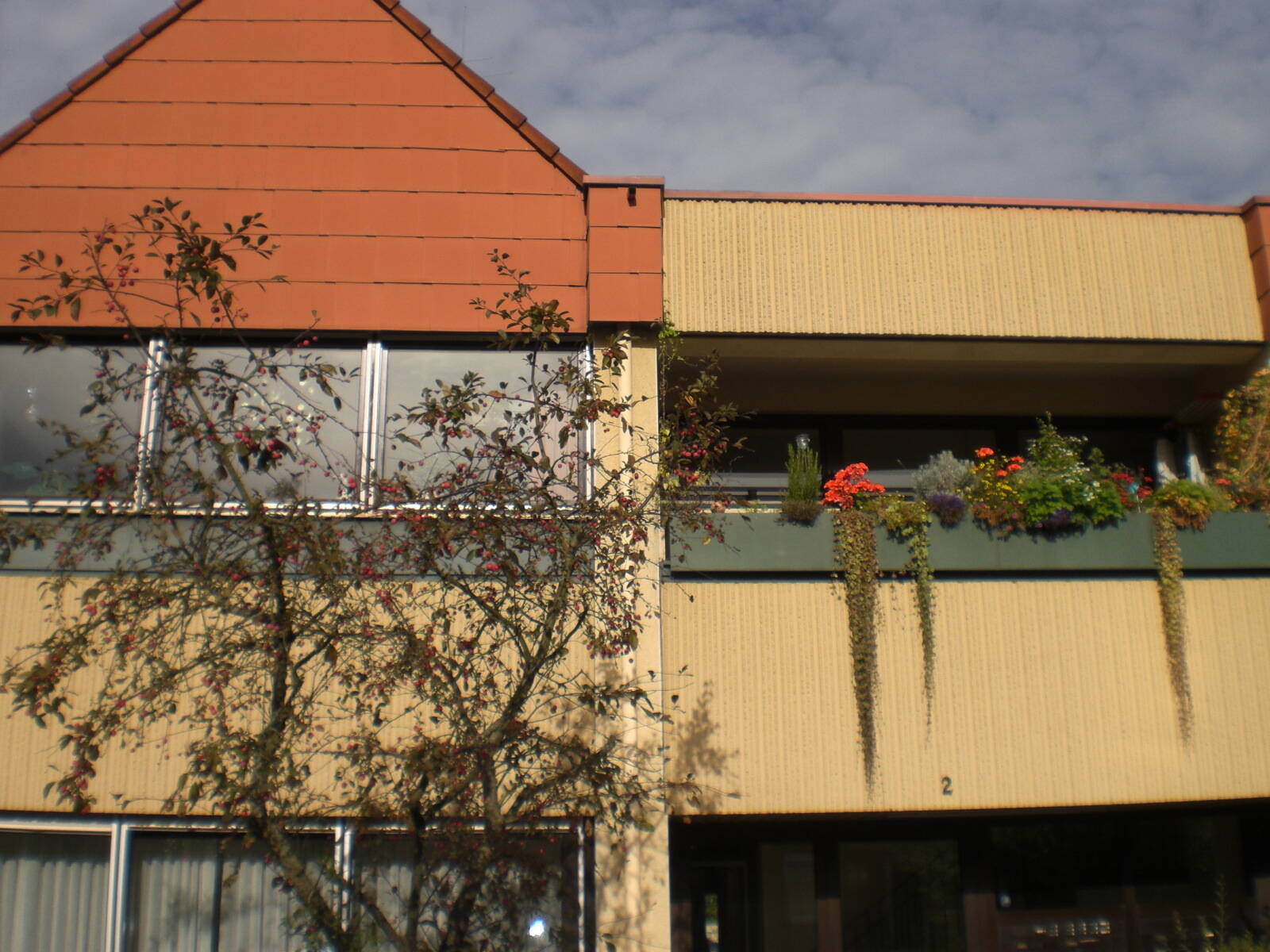 image-69271960