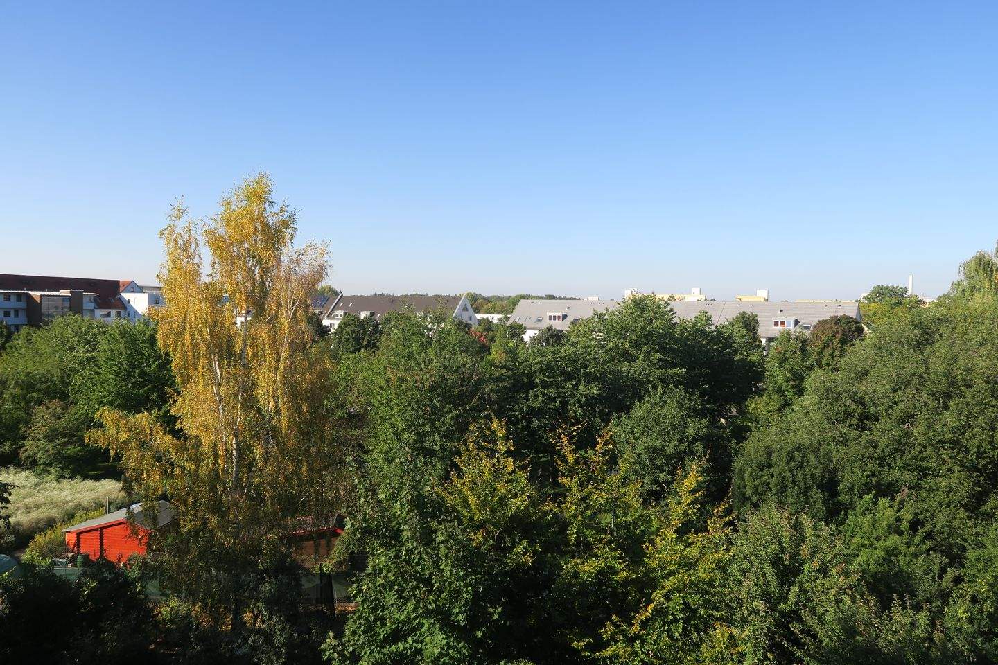 image-69309071