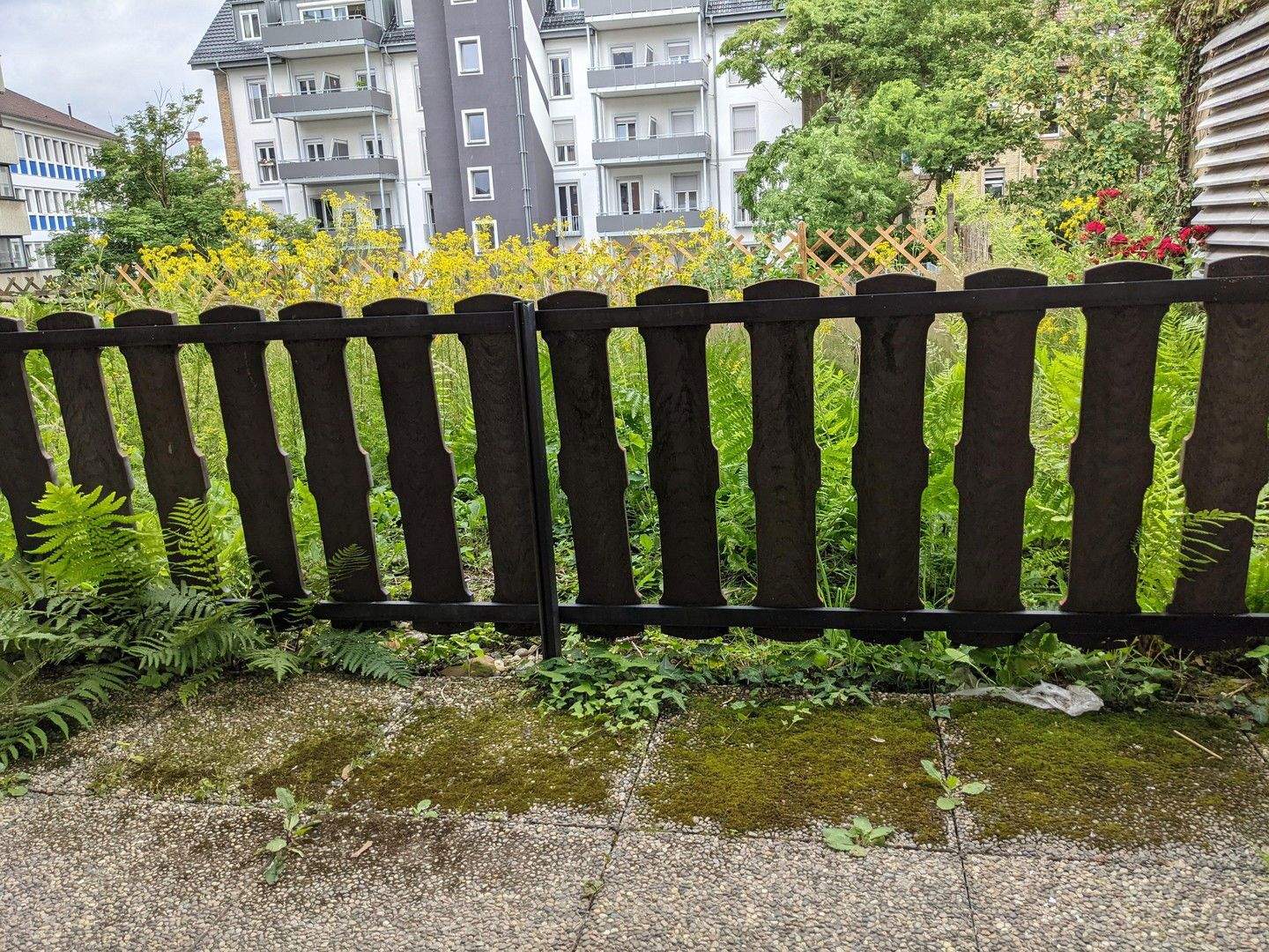 image-69318837