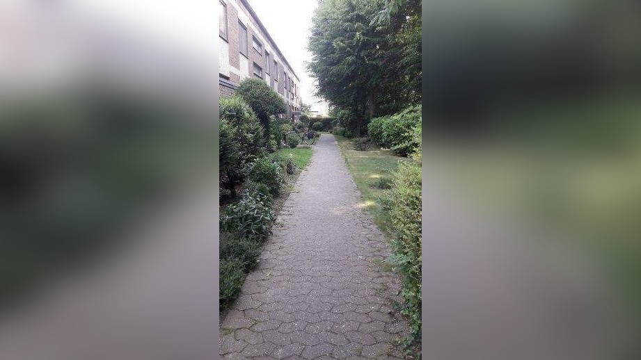 image-69330240