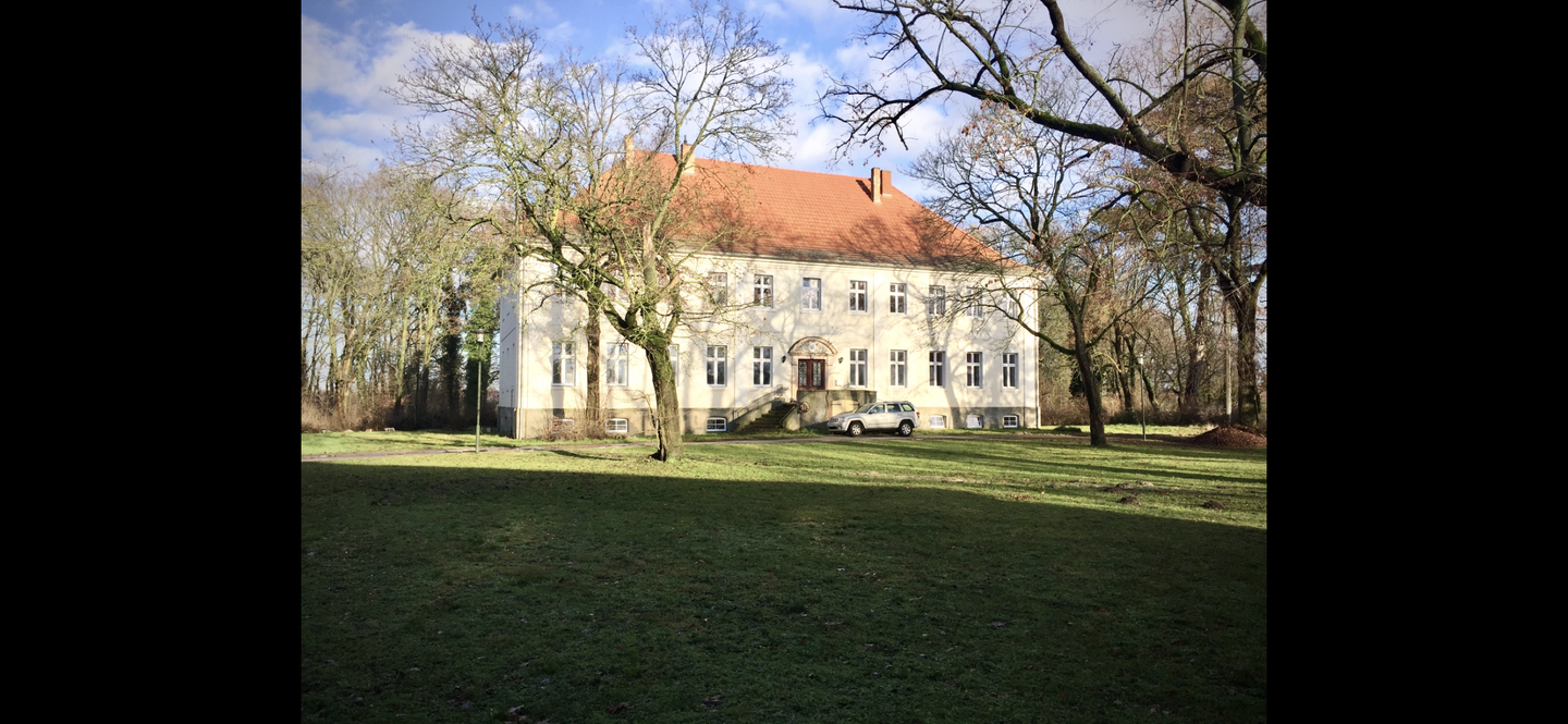 image-69333437