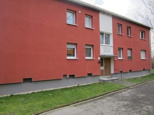image-69353878