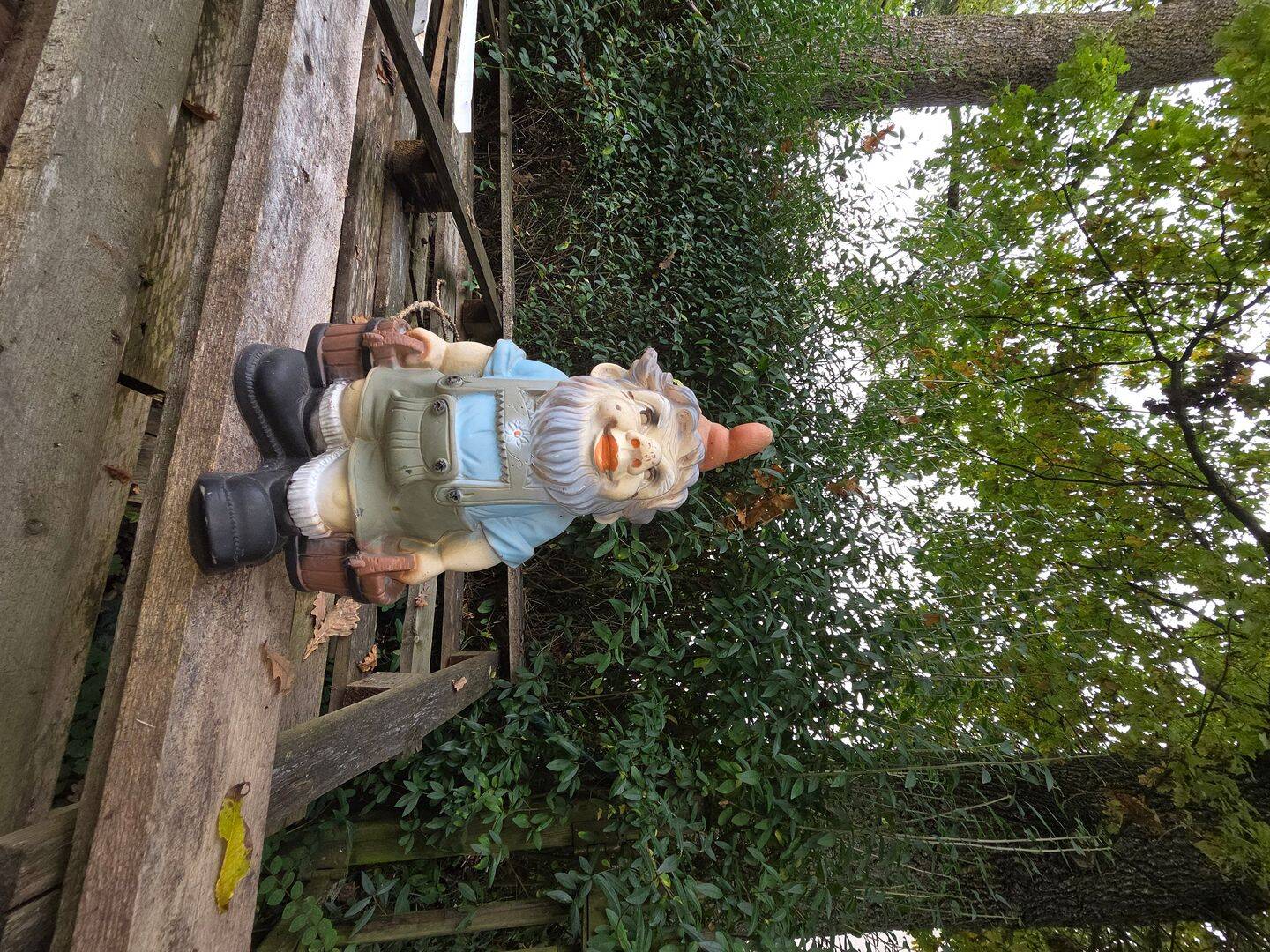 image-69358299