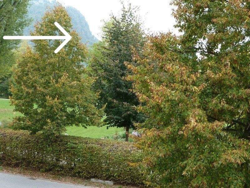 image-69368896