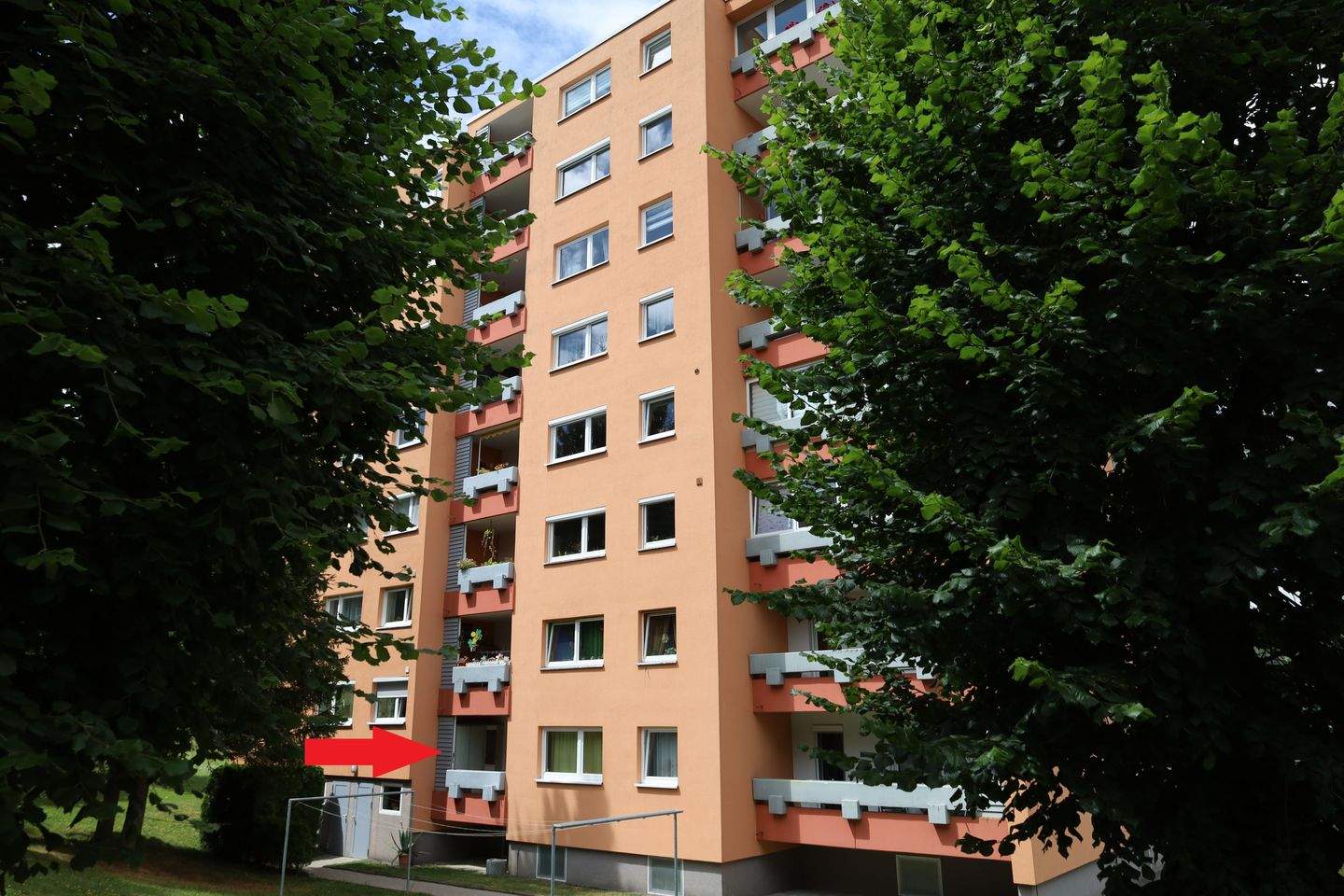 image-69379730