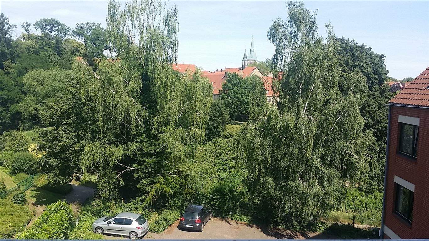image-69390089