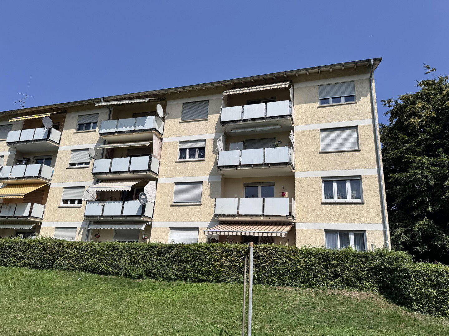 image-69417565
