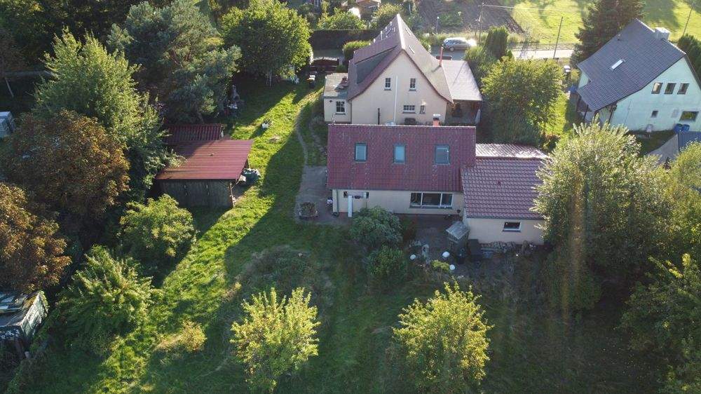 image-69419482