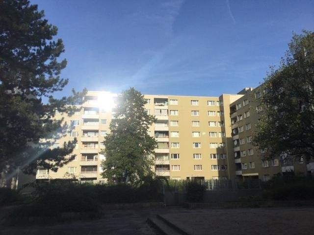 image-69423247