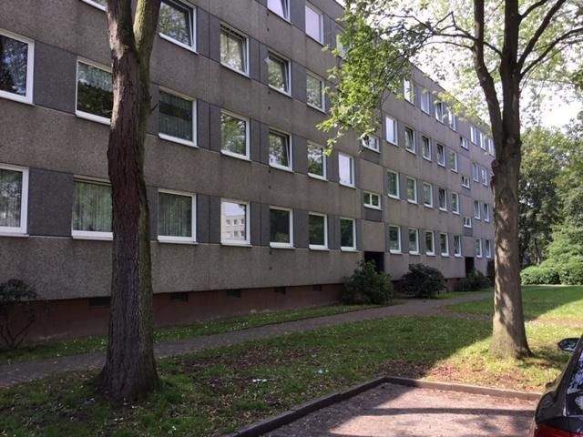 image-69434372