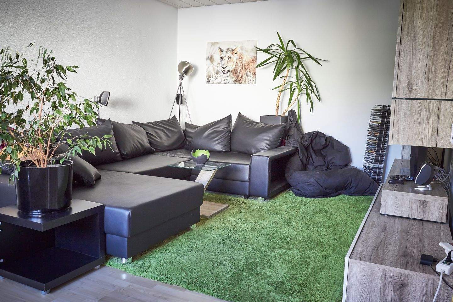 Bild 1