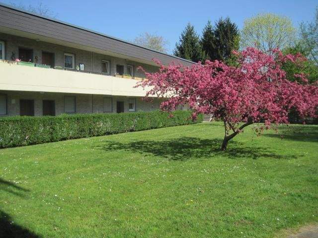 image-69440163