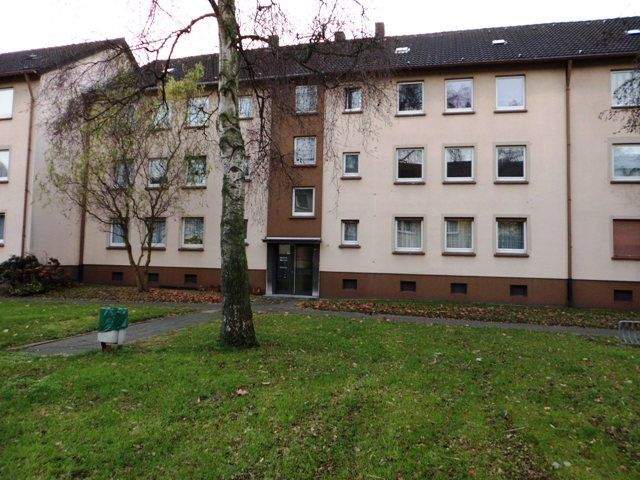 image-69516104
