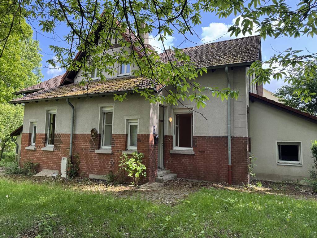 image-60676151