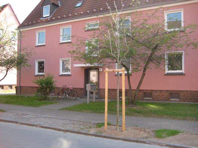 image-69599394