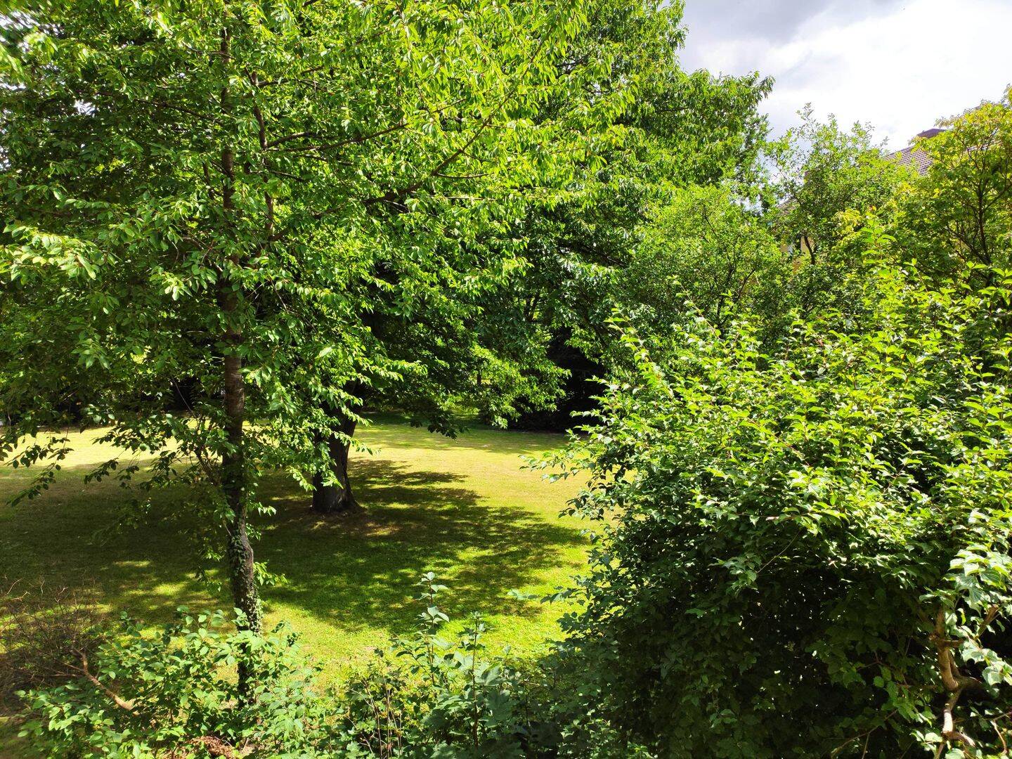image-69601552