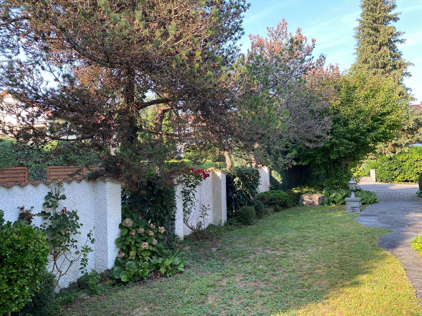 image-69615498