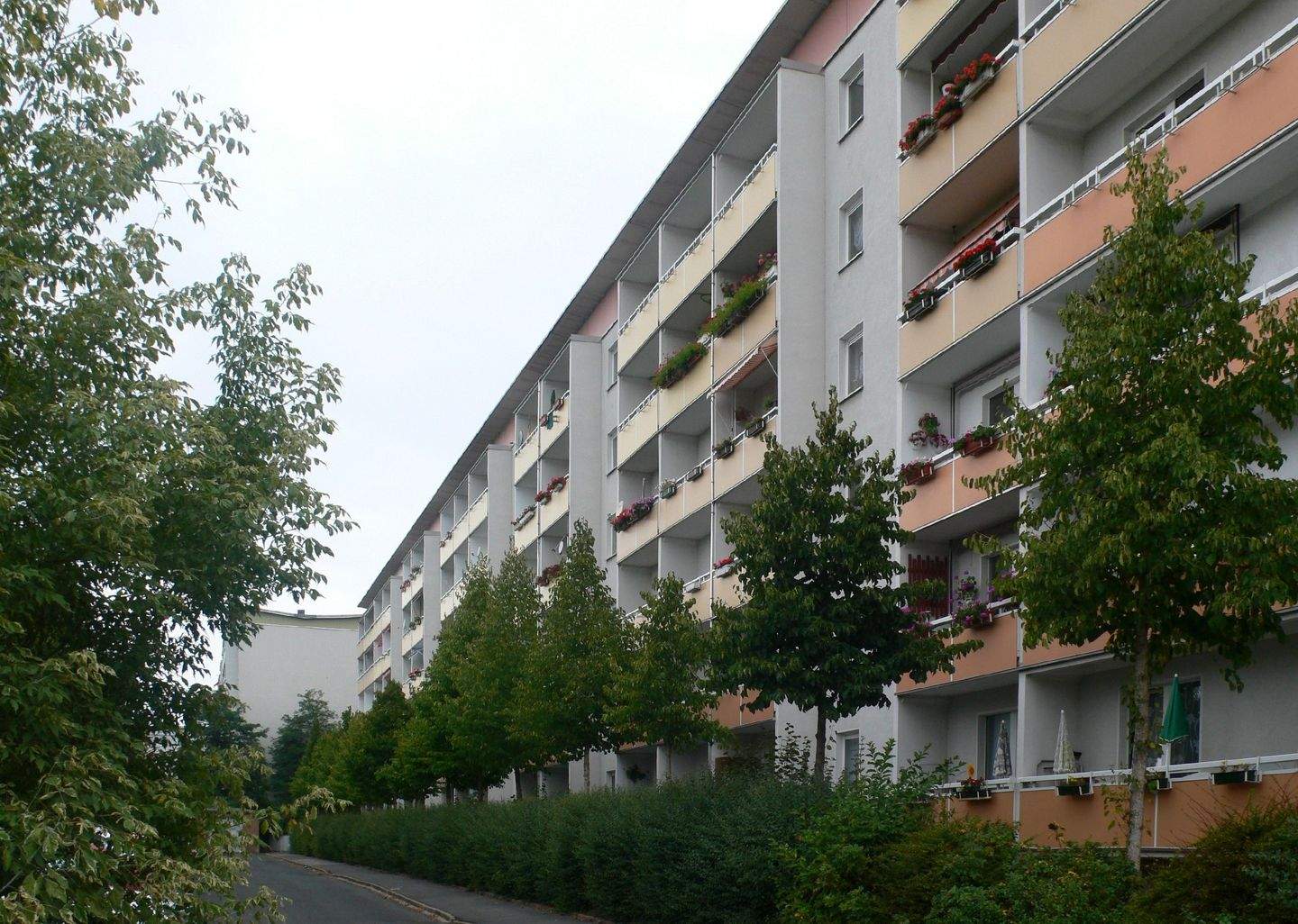 image-69629951
