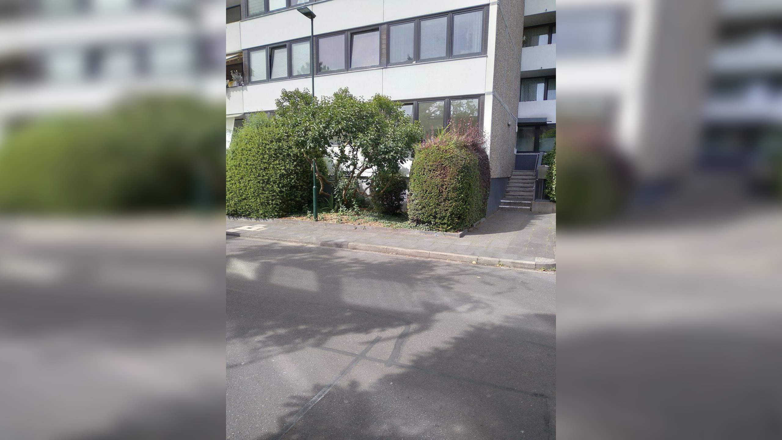 image-69655310
