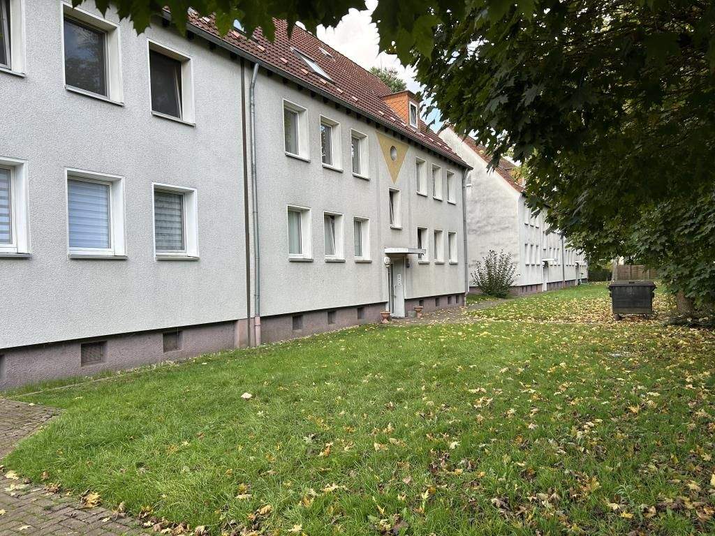 image-69670702