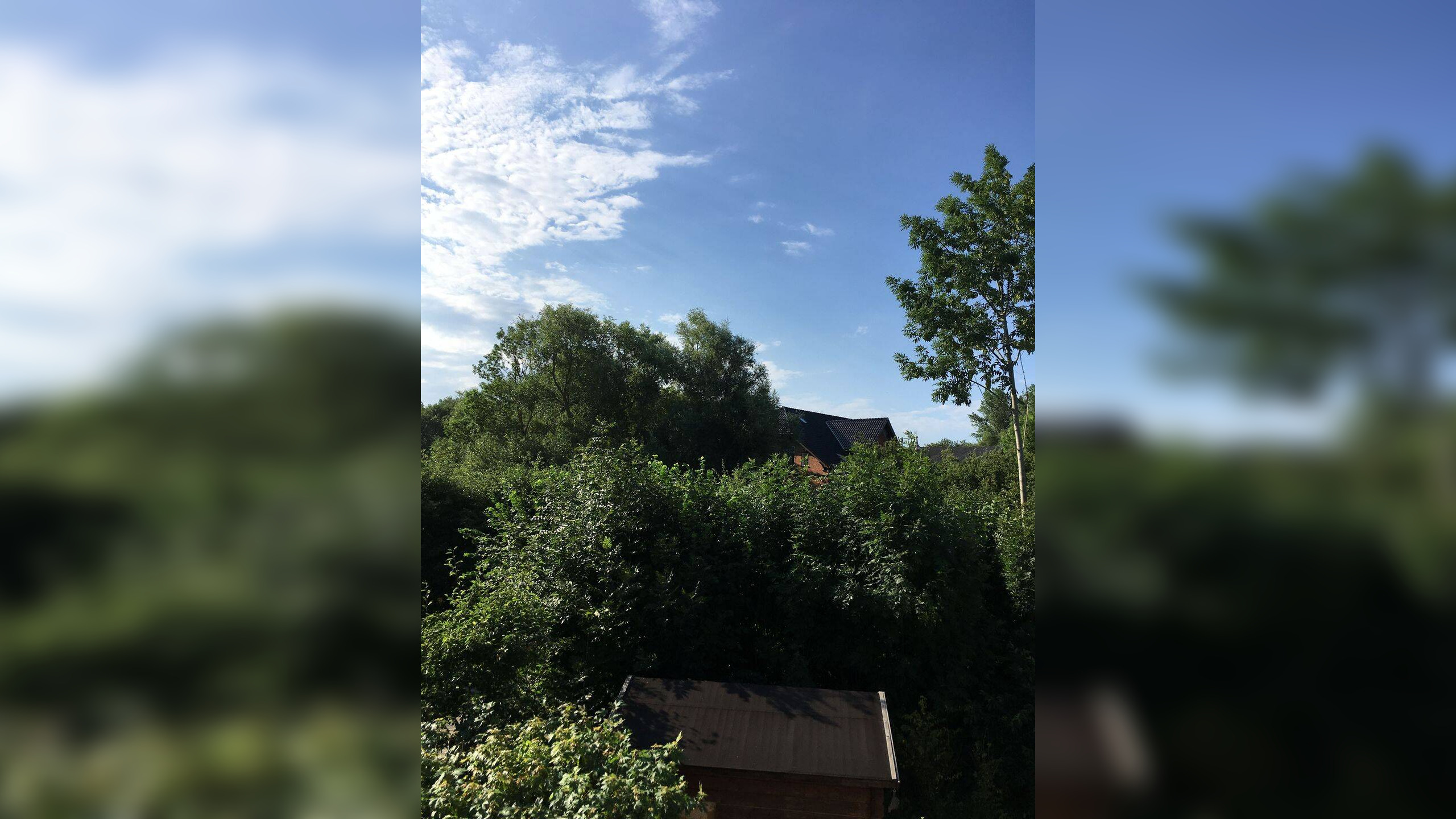 image-69670946