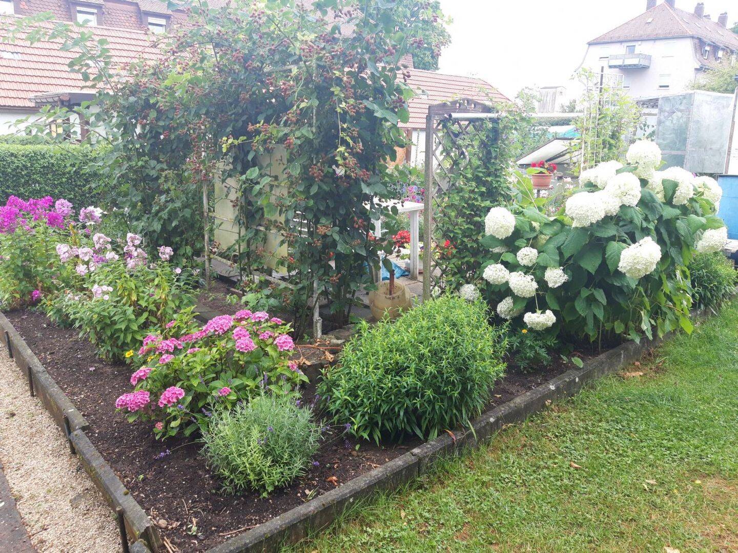 image-65929232