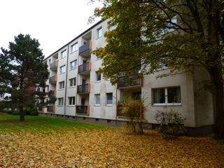 image-69706411