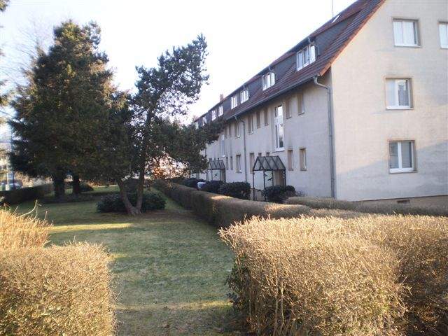 image-69727566