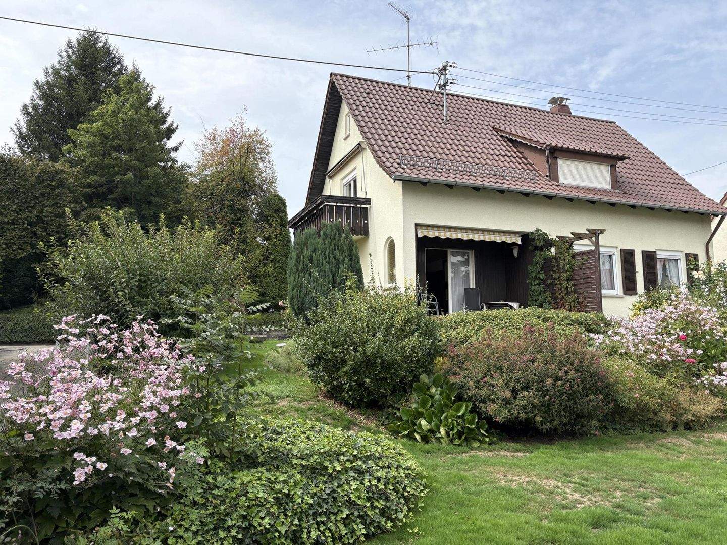 image-69776181