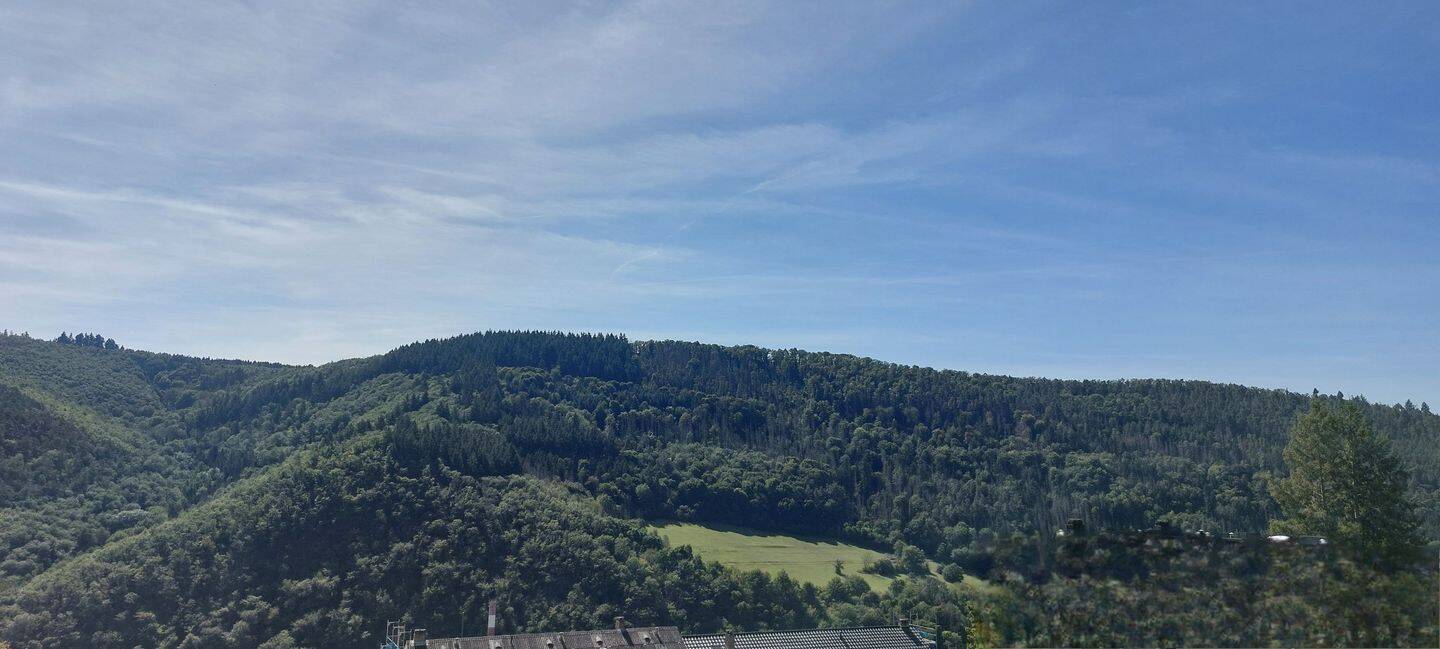 image-69783180