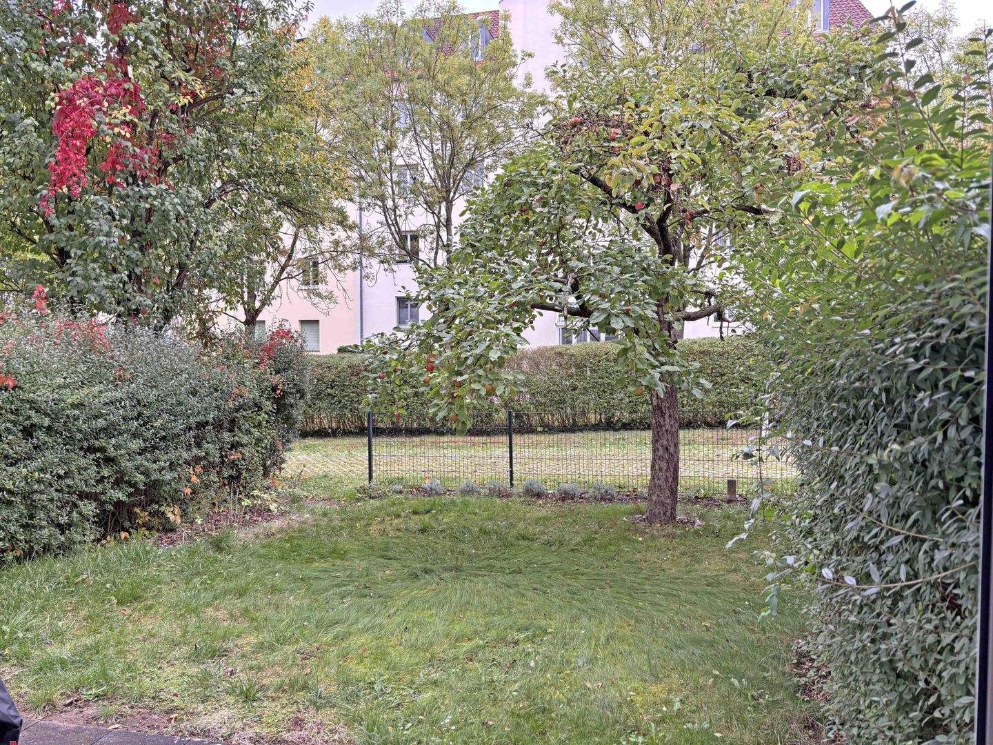 image-69785475