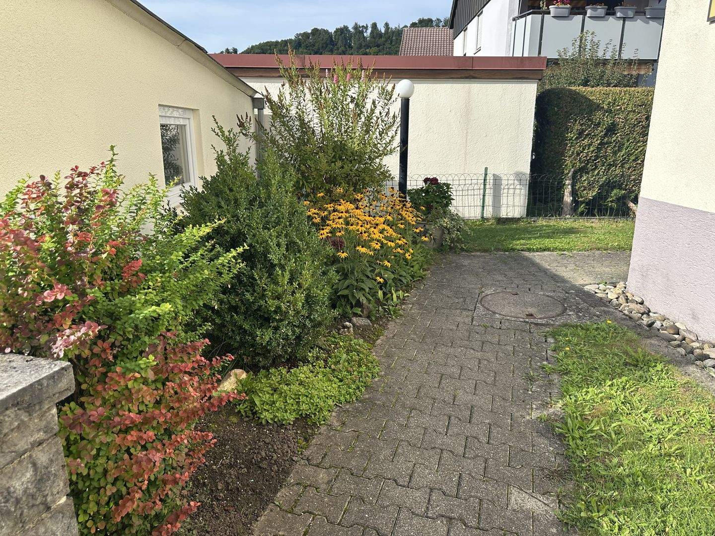 image-69810567