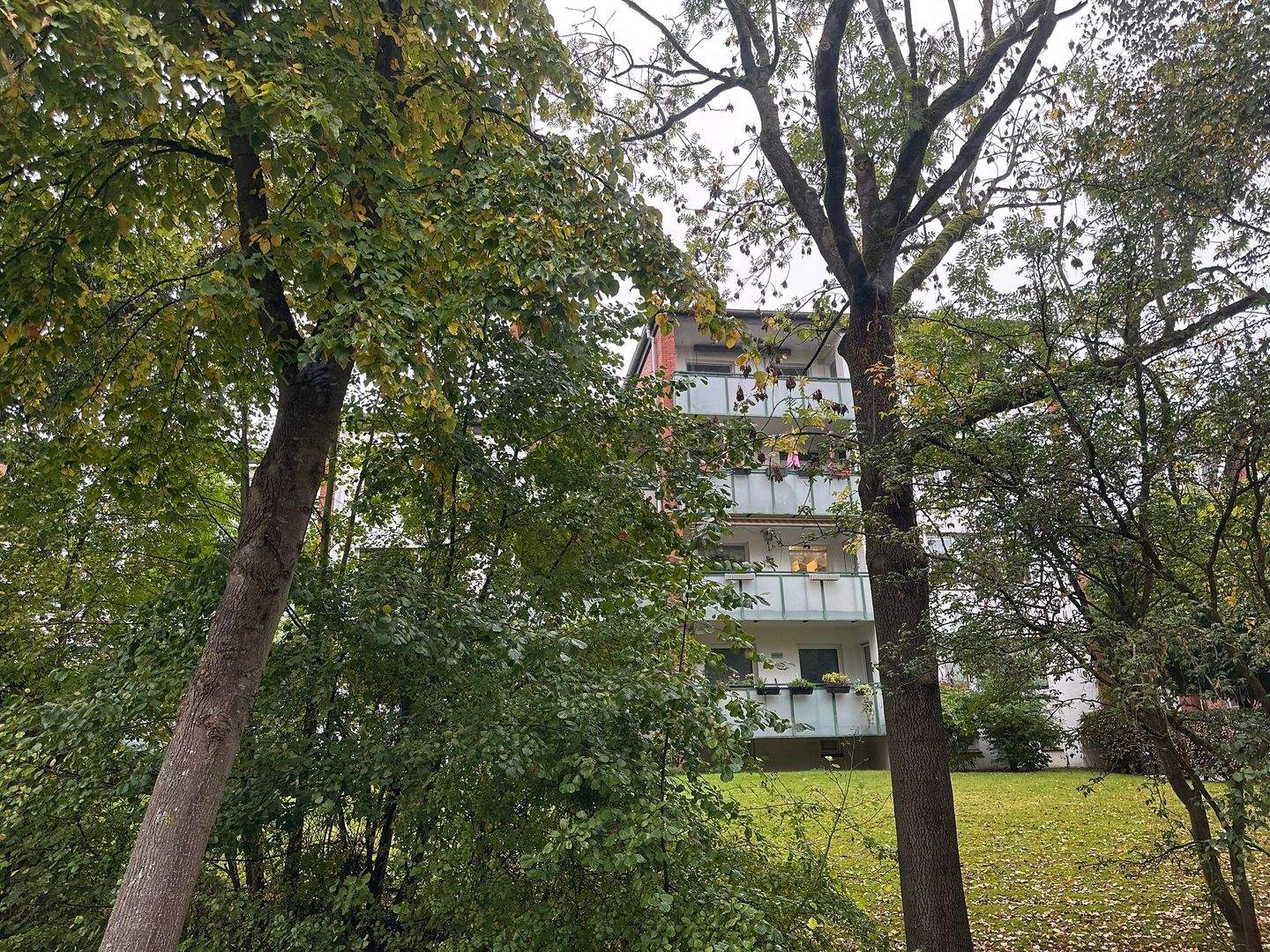 image-69828963