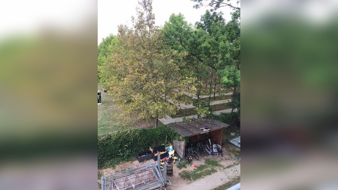 image-69829758