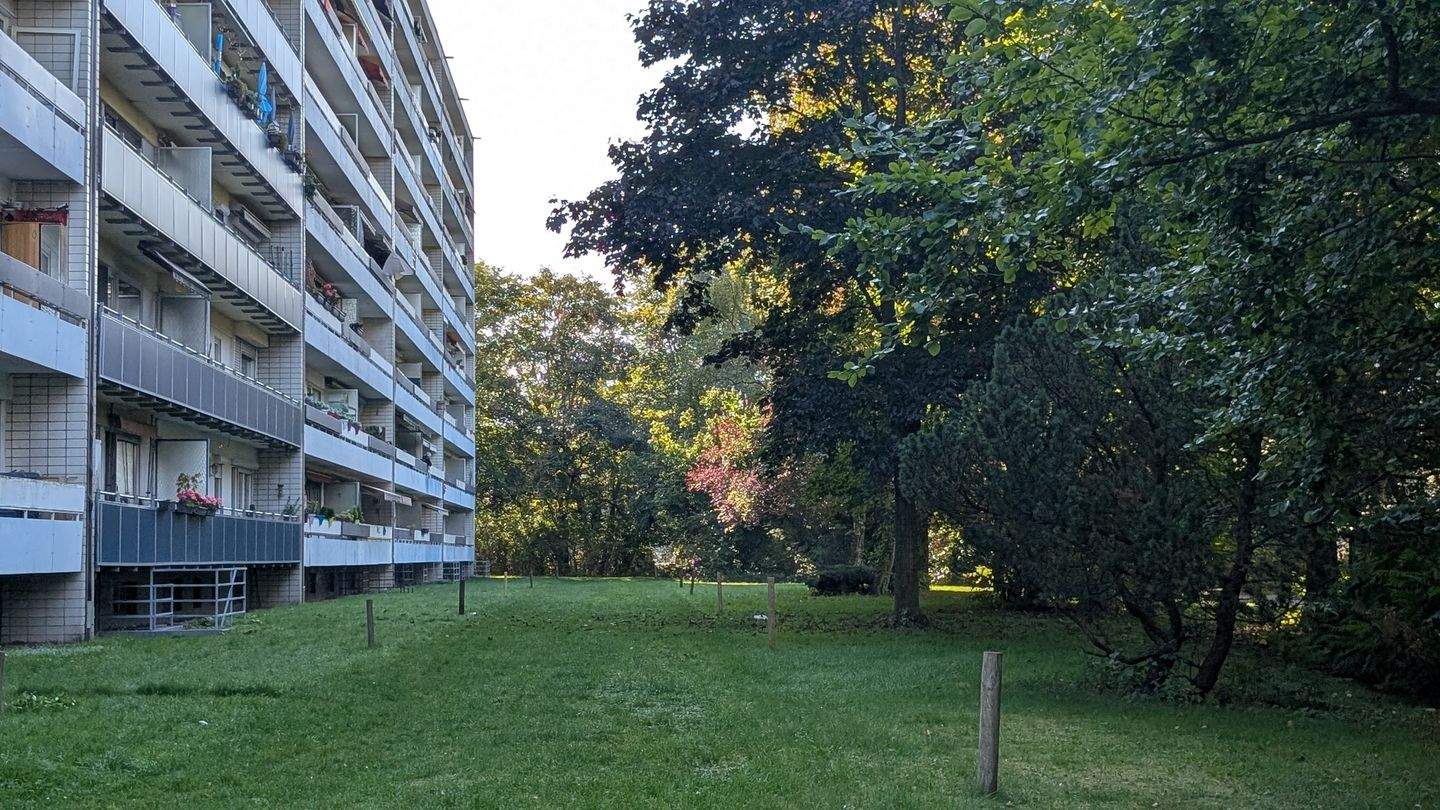 image-69833561