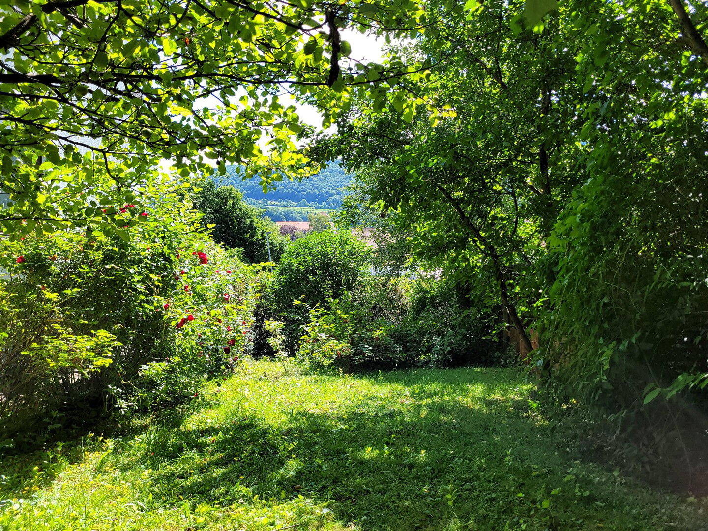 image-69844397