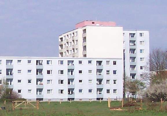 image-69886739