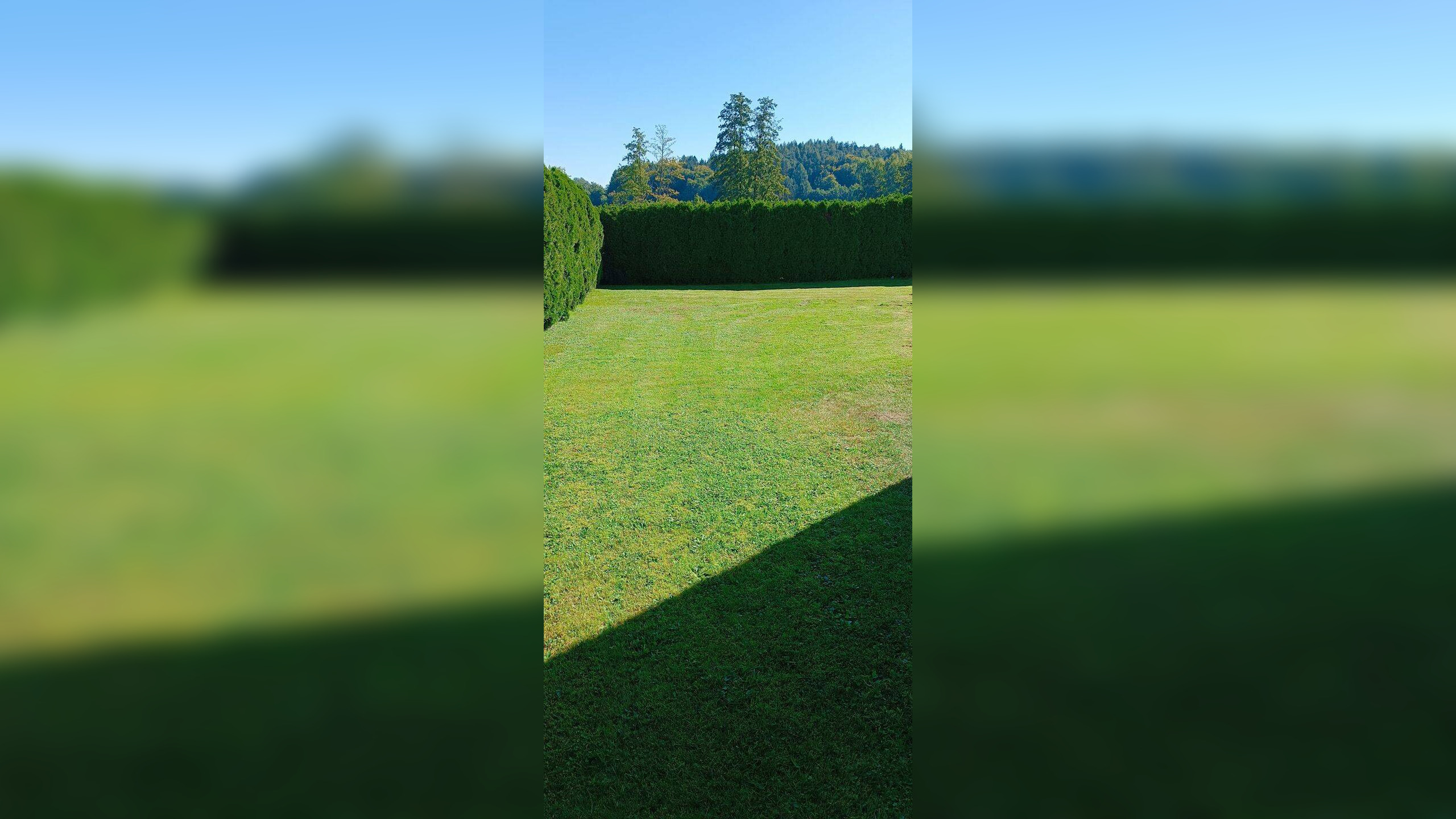 image-69905197