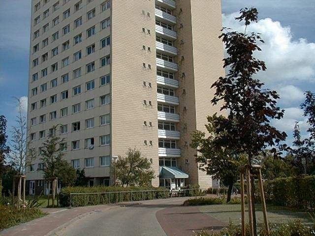 image-69910823